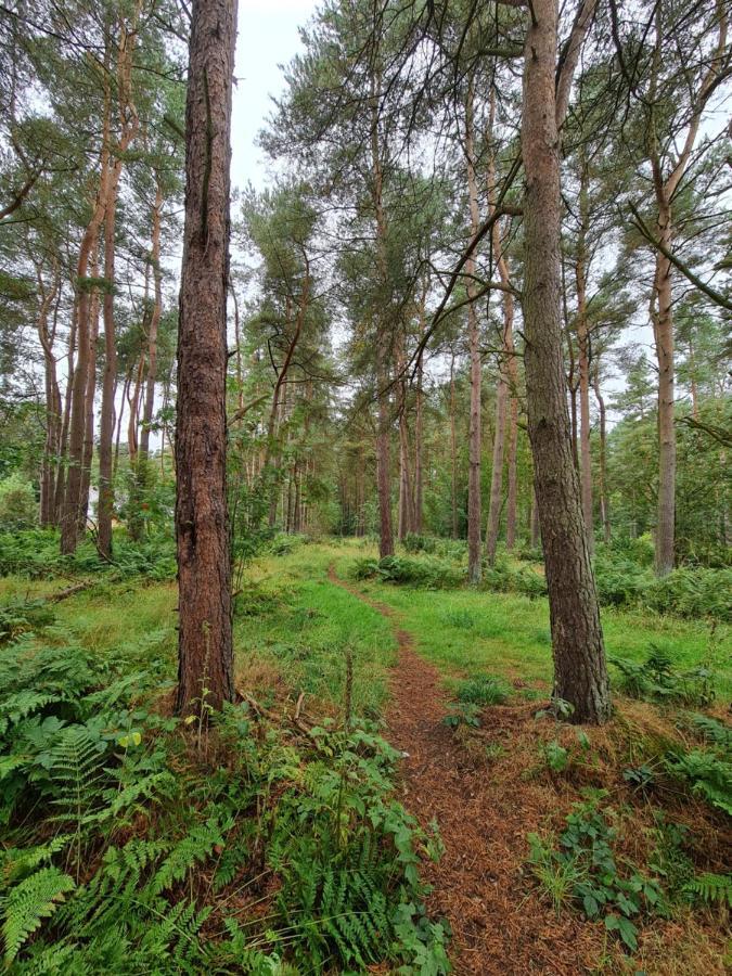Annsmuir Park - The Pines 호텔 Ladybank 외부 사진
