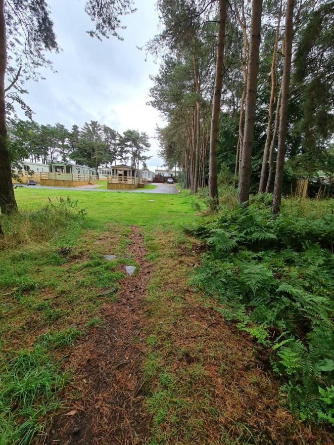 Annsmuir Park - The Pines 호텔 Ladybank 외부 사진