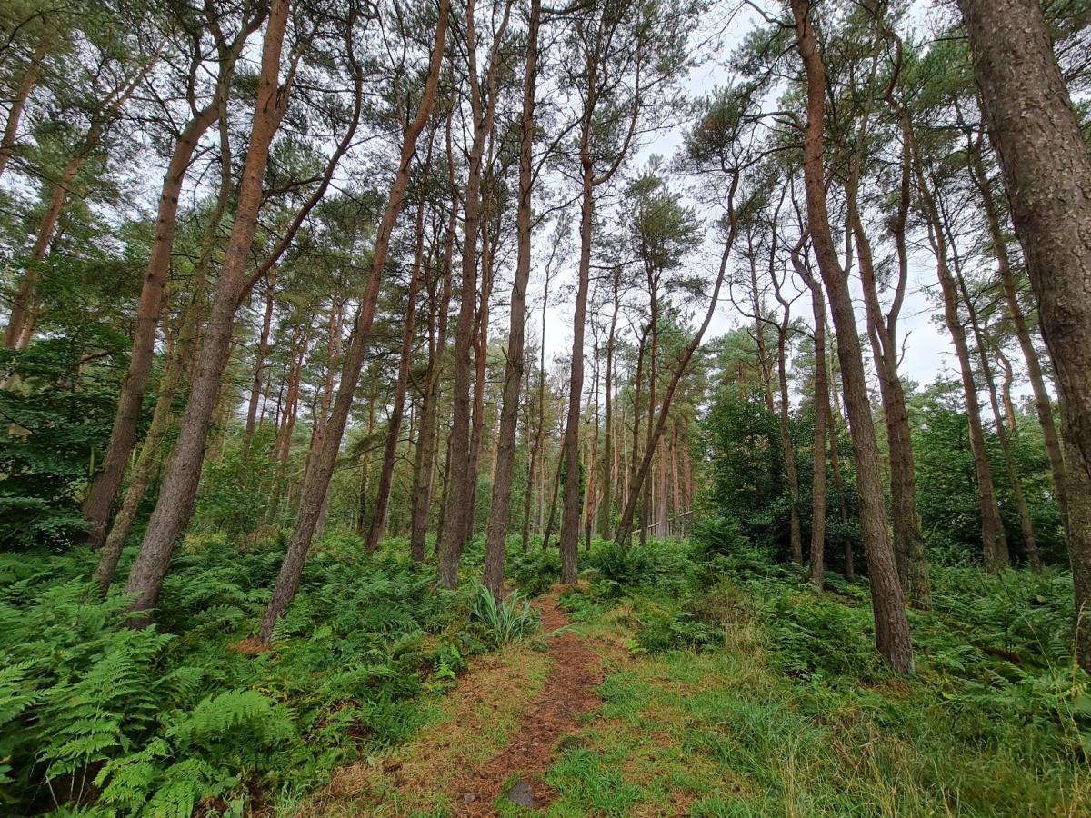 Annsmuir Park - The Pines 호텔 Ladybank 외부 사진